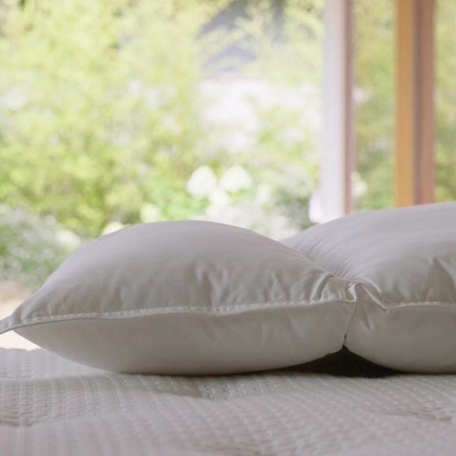 Oreiller modulable en 2 parties blanc, LA REDOUTE INTERIEURS