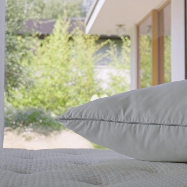 Oreiller moelleux effet duvet blanc, LA REDOUTE INTERIEURS